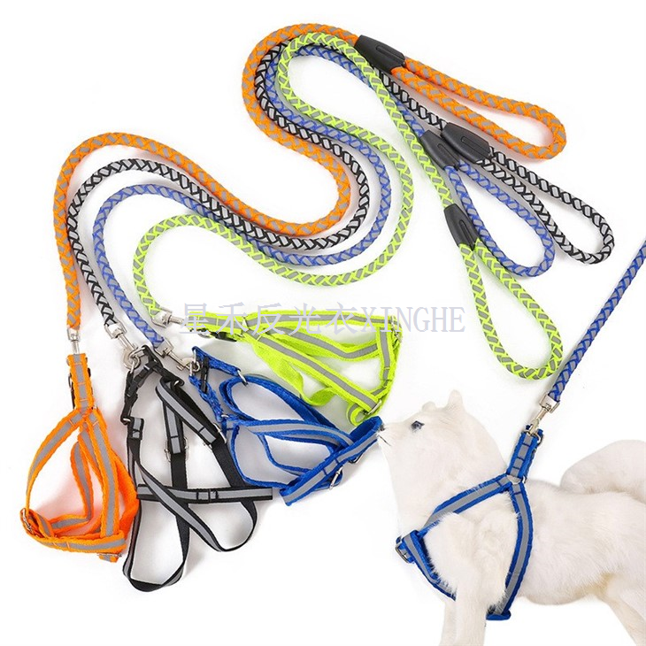 Tali Anjing Haiwan Peliharaan Reflektif